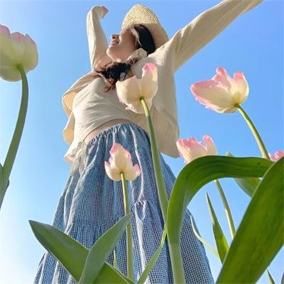 荒野上的光